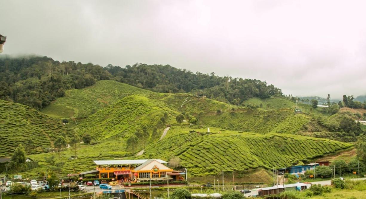 Gorgeous Sunset & Tea Plantation View-Premium Hotel Bed Kampung Kuala Terla 외부 사진